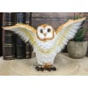 Realistic Woodlands Wildlife Common Barn Owl Bird Spreading Its Wings