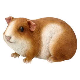 Figuren Shop GmbH Guinea Pig Garden Ornament - Lifelike Polyresin Animal Figurine by HotAnt, 22 cm, Weatherproof & Hand Painted