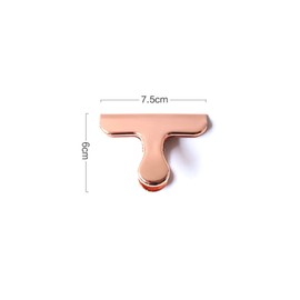 1/2pcs Stainless Steel Metal Bag Sealing Clips Clamp, Rose Gold Bag Clips Food Clips for Kitchen Storage Vegetable Food Sealer