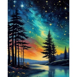 xackcme Starry Sky Paint by Numbers for Adults-Starry Night Paint by Number on Canvas Without Frame,DIY Abstract Landscape Oil Painting for Gift Home Wall Decor(16x20inch) | xackcme