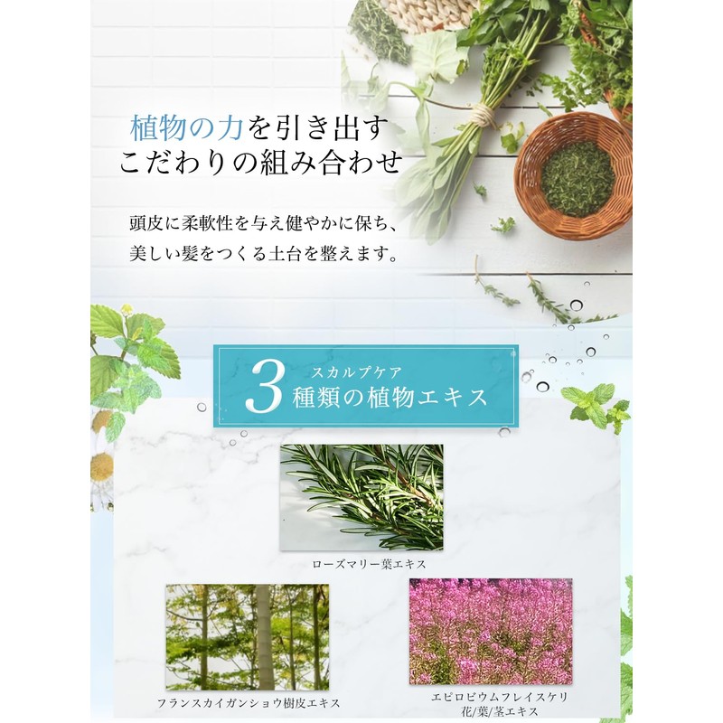 Herb Beauté Natural Shampoo, Botanical, Plant-derived Keratin, Harikoshi Volume, Damage