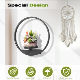 Aunulahca Round Picture Frame Wall Plant Holder Black Wall Hanging Planters Metal Window Plant Shelf Plant Wall Shelf for Indoor Outdoor Garden Flat Decoration 2 Pack