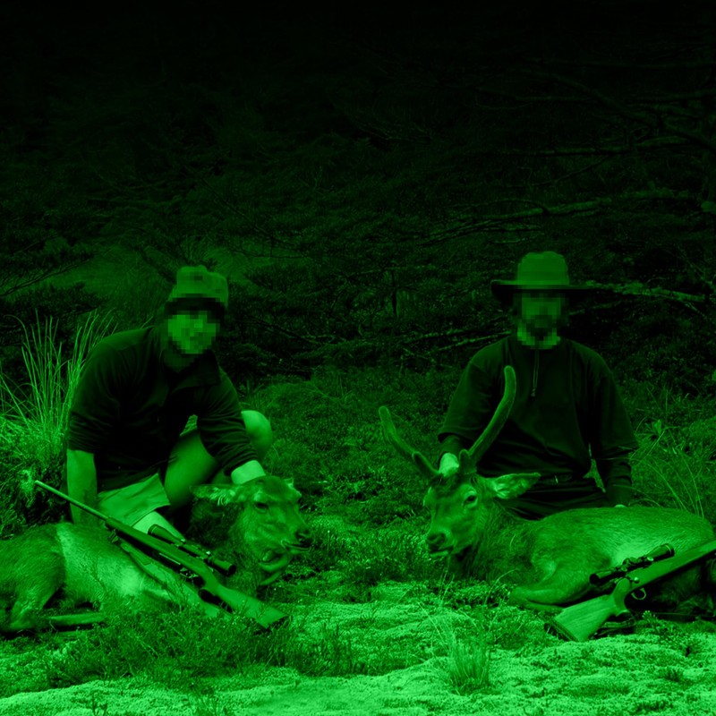 Hog Light for Night Hunting,22000LM Powered Feeder Light(Green) Solar Lights