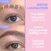 Brow Lamination Kit by CICI Lash | Professional Eyebrow Lamination