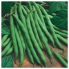 Everwilde Farms - 1 Lb Blue Lake Bush Green Bean