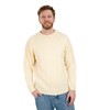 SAOL Irish Merino Wool Men Crew Neck Sweater (Natural, XXXL)