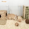 Niteangel Aspen Shaving Hamster Beddings for Syrian Dwarf Hamster Gerbil