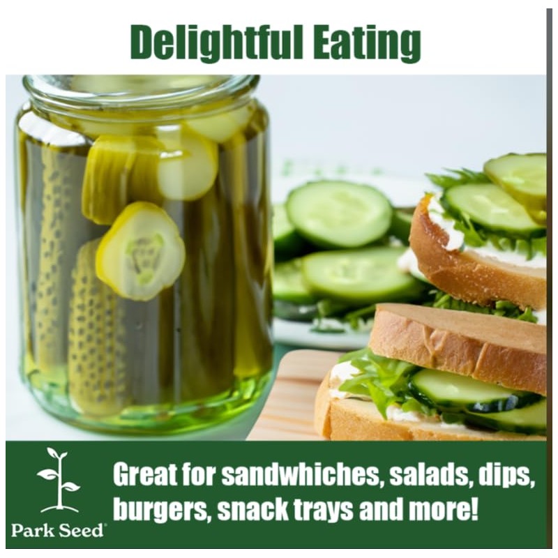 Park Seed Variety of Cucumber Seeds, Planting Cucumbers, Vegetable Seeds,