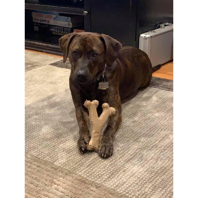 SPOT Bam-Bones Wishbone - Made with Strong Bamboo Fiber, Durable