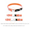Quick Snap Bungee Dog Collar Strap with D Ring for