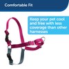 PetSafe Easy Walk Dog Harness, Red /Black, Medium