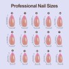 Misssix XBASICTIPS Uñas postizas francesas, 150 unidades, almendra mediana, gel