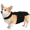 QBLEEV Female Dog Diapers with Adjustable Suspenders – Washable Sanitary