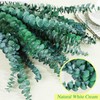 FUKUOKA Bulk Package 30 PCS Real Dried Eucalyptus Plant Large