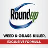Roundup Weed and Grass Killer4 with Trigger Sprayer, Use in