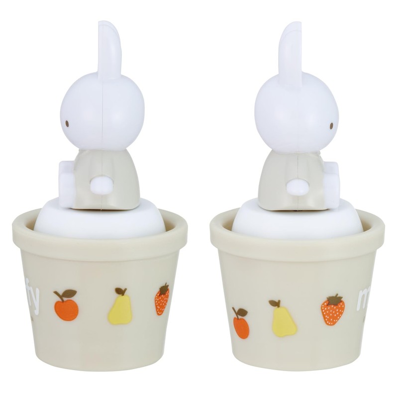 Skater TWSL1D-A Miffy Salt Case with Mascot Salt and Pepper