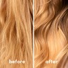 Coco & Eve Hydrating & Detangling Leave-In Conditioner. Coconut, Avocado