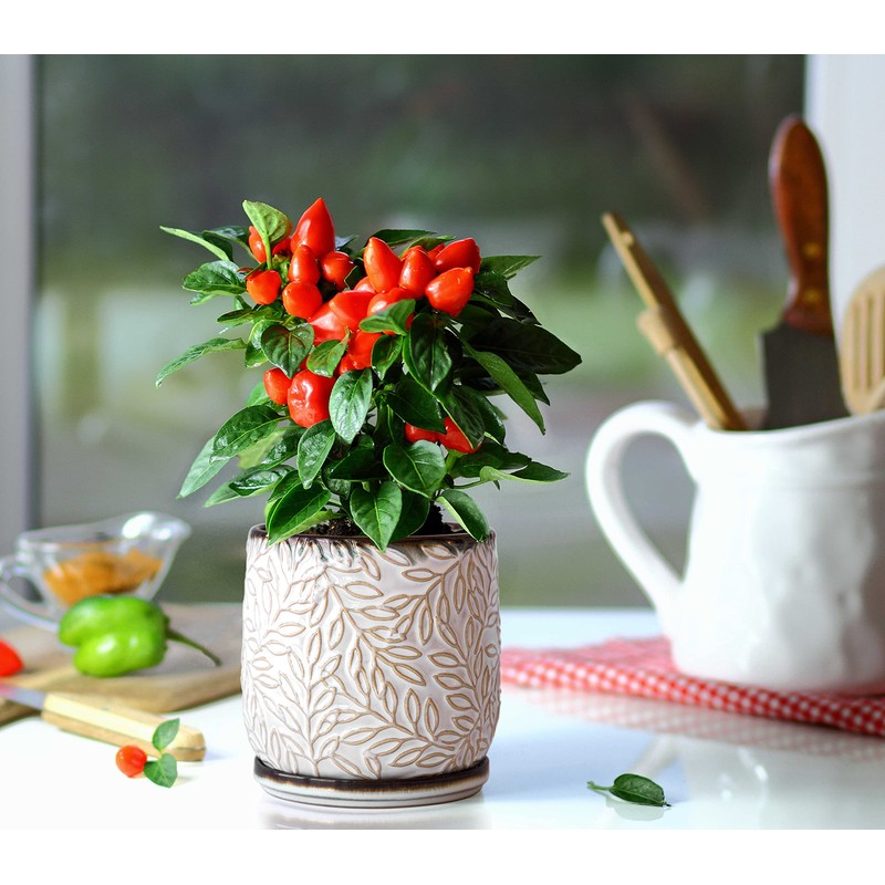 D'vine Dev 5 Inch Embossed Leaves Stoneware Planter Pot with