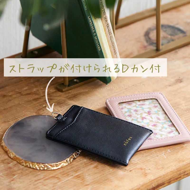 Raymei Fujii GLP1108B Pass Case Nofesu Single Pass Geometry Black