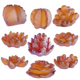 9 Pcs Succulent Resin Mold Succulent Mold Succulent Soap Mold Clay Mold Peony Mold Rose Jewelry Resin Casting Mold Candle Making Molds Craft Supplies 3D Mold Silicone Mold for Resin Casting Mold