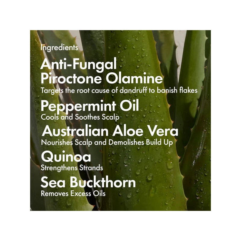 Bondi Boost Dandruff Shampoo 300ml