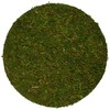SuperMoss (26335) Moss Soil Toppers, Fresh Green, Assorted 4 Sizes