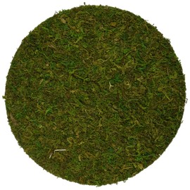 SuperMoss (26335) Moss Soil Toppers, Fresh Green, Assorted 4 Sizes