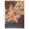 Geschäftig wie im Bienenstock (Tischkalender 2026 DIN A5 hoch), CALVENDO Monatskalender: Ein Einblick in das Innenleben des Bienenstocks (CALVENDO Tiere)