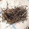 자연산 칡순 100g 갈용 칡순차 칠순 갈용 Natural Wild Arrowroot