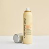 Chaenpak 차앤박 프로폴리스 에너지 앰플 미스트 수분 100ml Chaen-Park Propolis