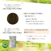 Organette Henna, Brown 2-Piece Set, Gray Dye, Organic, Certified, 2