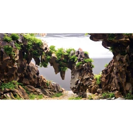AWERT 48x24 inches Viewing Stone Fish Tank Background Aquatic Plant River Bed & Lake Aquarium Background Seaweed Aquarium Vinyl Background