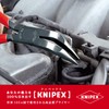Knipex (kunipekkusu) 3871 – 200 Mechanic Pliers