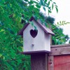 Kingfisher White Wooden Nesting Box
