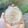 NouvoCrescent Real Dandelion Paperweight - Home Decor Crystal Resin Ball