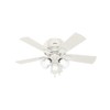 Hunter Crestfield Indoor Low Profile Ceiling Fan with LED Light