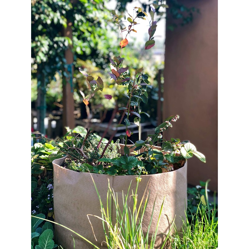 Smart Pots 10-Gallon Smart Pot Soft-Sided Container, Tan