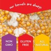 All in One Popcorn Packs - Wabash Valley Farms All