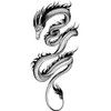 Dragon Tattoo Fake Tattoo Arm Tattoo XQB458