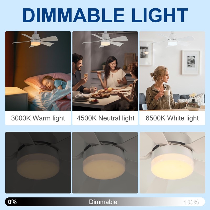 We Charger Socket Fan Light, Ceiling Fans with Spare Light