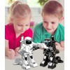 Battle Robot, Toy, Robot, Battle, Electric Robot, Boxing, Battle Type,