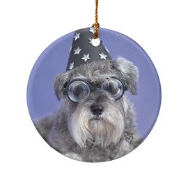 GRAPHICS & MORE Schnauzer Puppy Dog Wizard Glasses Spell Book Porcelain Holiday Christmas Tree Ornament - 2.8" (7.1 cm)