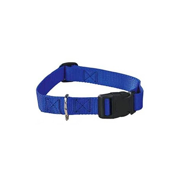 Zack & Zoey Blue Dog Collar Bulk LOT Packs 4