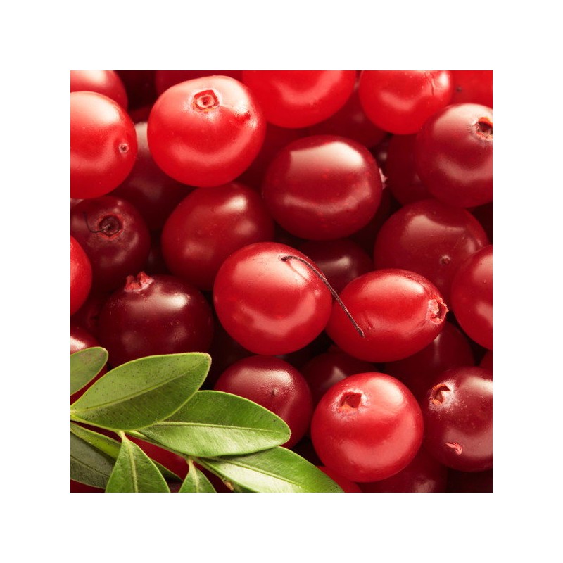 [Chamgoods] Lingonberry Glutathione Powder 200g, 5 boxes / [참굿즈] 링곤베리