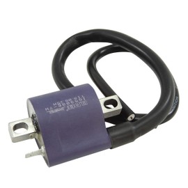 ELDAD Ignition Coil General Purpose Super Cub Monkey R Cygnus 125 Majesty 125 Ape Ducks