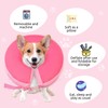 SAWMONG Inflatable Dog Cone Collar After Surgery,Soft Recovery Collar for