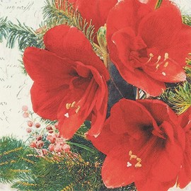 20 Napkins Red Amaryllis Flowers | Flowers | Winter | Christmas | Table Decoration | Decoupage | Napkin Technology 33 x 33 cm