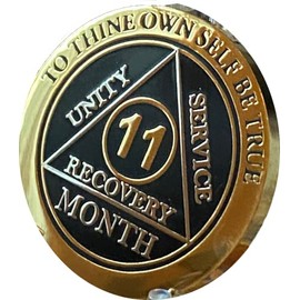 11 Month AA Medallion Elegant Black Gold and Silver Plated Chip