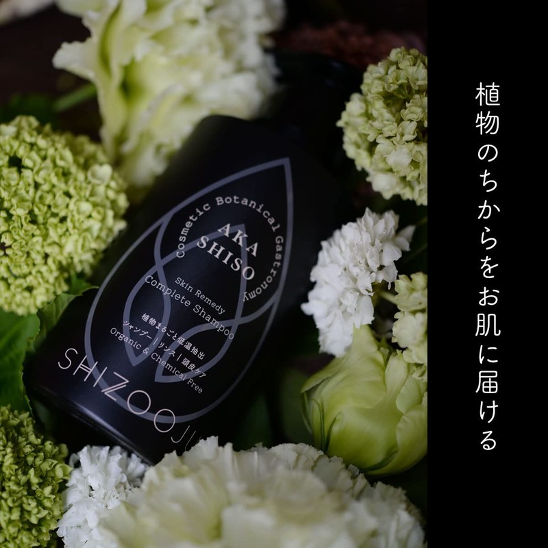 Shizuju Skin Remedy Complete Shampoo 10.1 fl oz (300 ml)