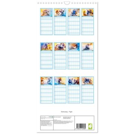 Family Planner 2026 - Ice Hockey - Fight with 5 Columns (Wall Calendar, 21 cm x 45 cm) CALVENDO